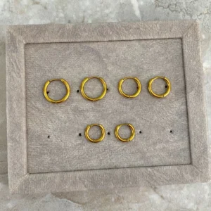 Lisa Hoops