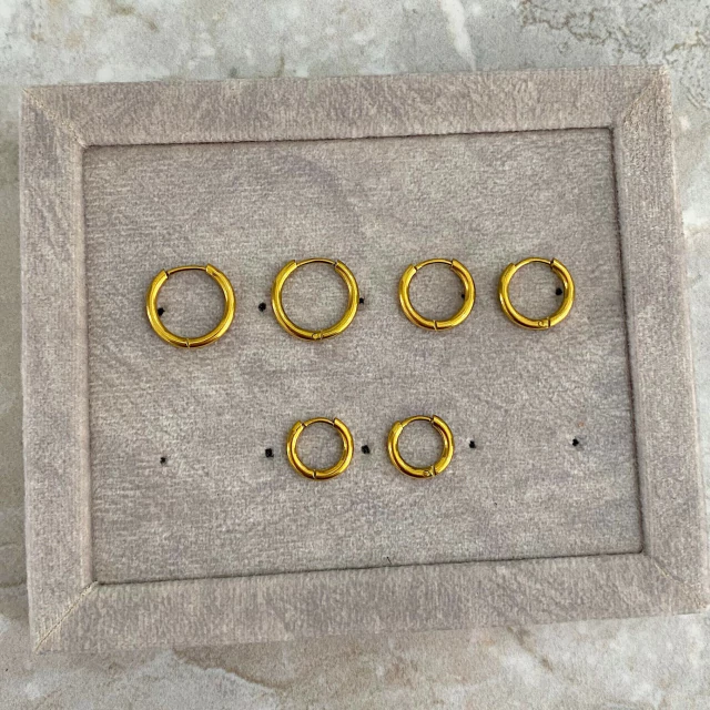 Lisa Hoops