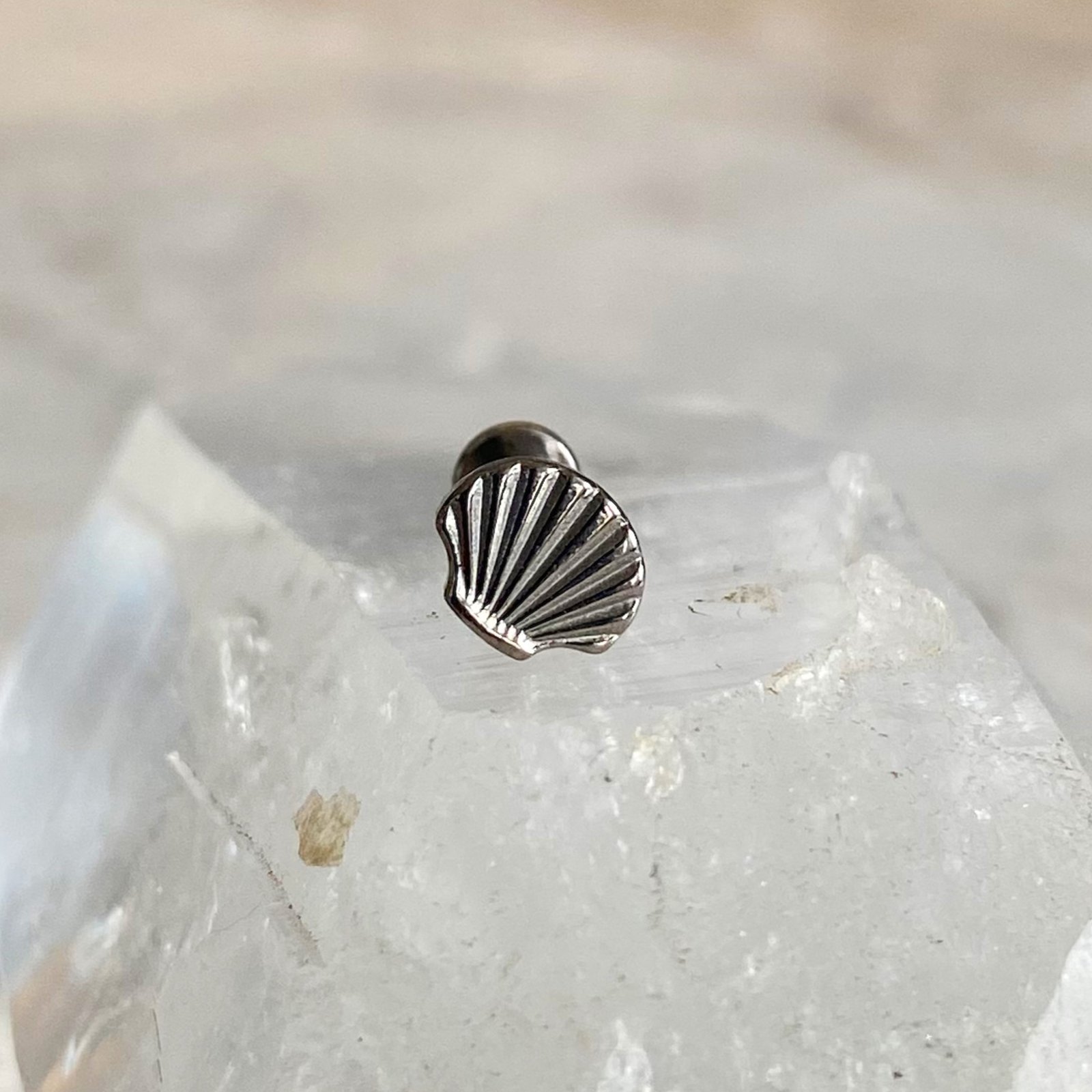Labret Concha Titanio