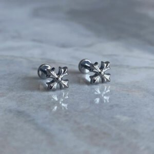 Labret Magnus Titanio